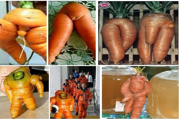 Sim, cá pra nós, com a 'turma' chutando o balde como anda, para as advertências, tu acha mesmo que esses vegetais nasceram assim por puro acaso - que não por um brado de Deus aos nosssos corações? Francamente, vamos combinar, que isso é puro zelo d'Ele para com Seu povo, já que A Espada vem. Tipo assim: Quem avisa amigo é!